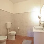Pet Friendly In With Sauna Holiday home *