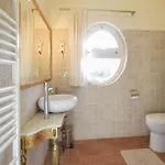 Pet Friendly In With Sauna 別荘